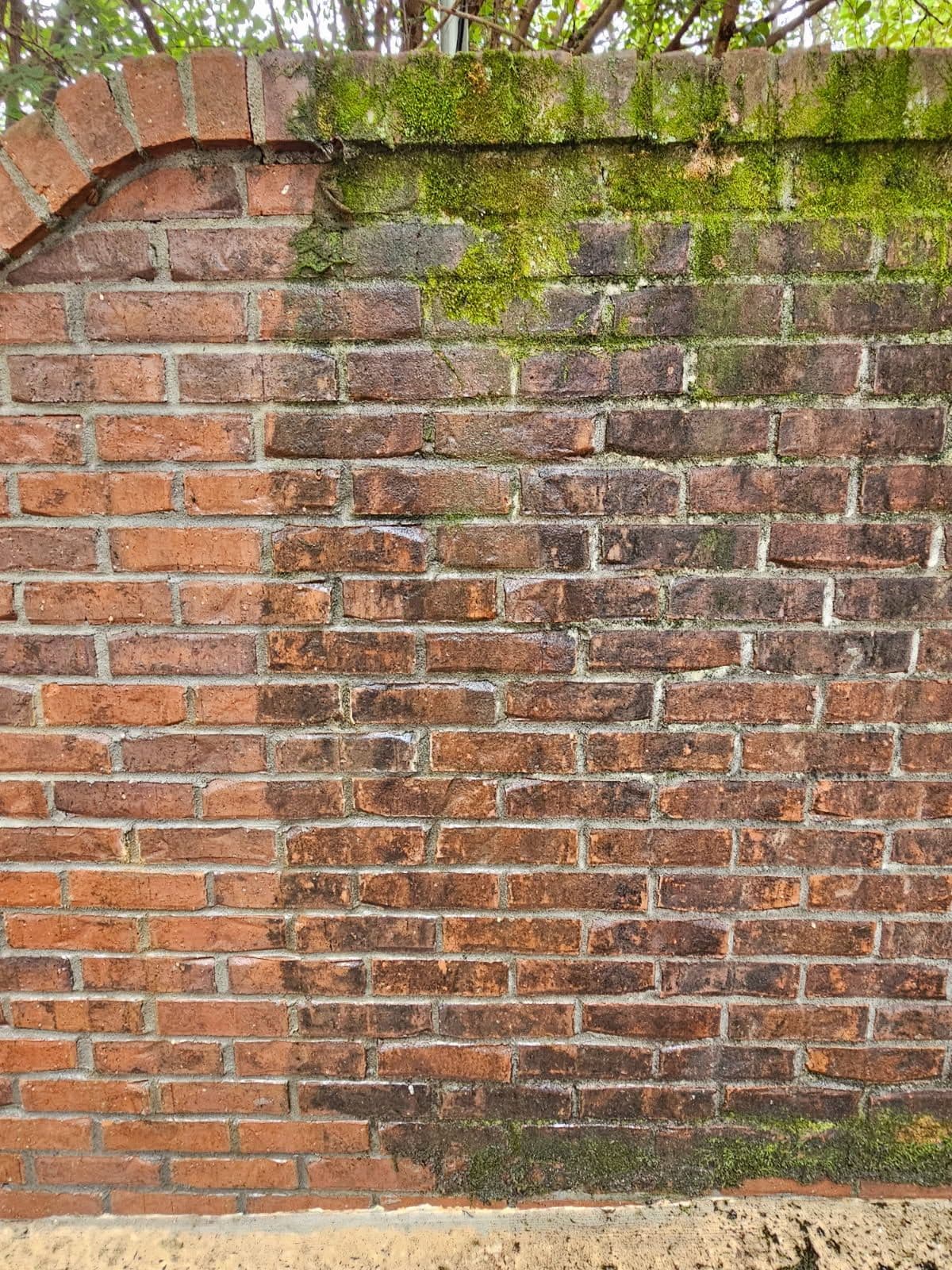 Brick Wall Restoration image