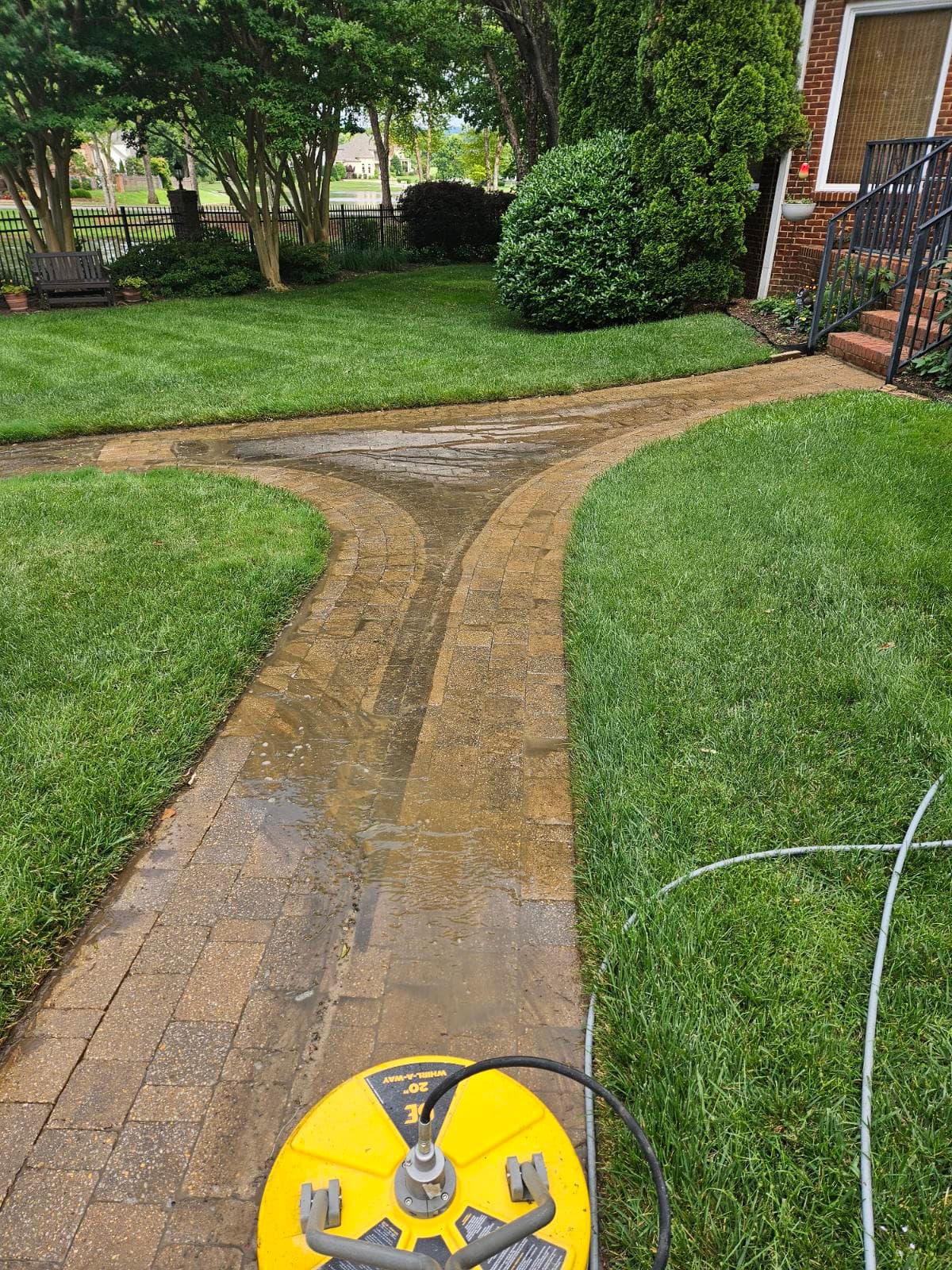 Stunning Pathway Renewal with Paver Cleaning image