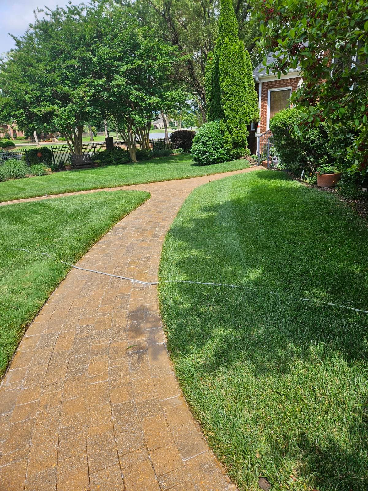 Gallery photos for Stunning Pathway Renewal with Paver Cleaning: Image #1