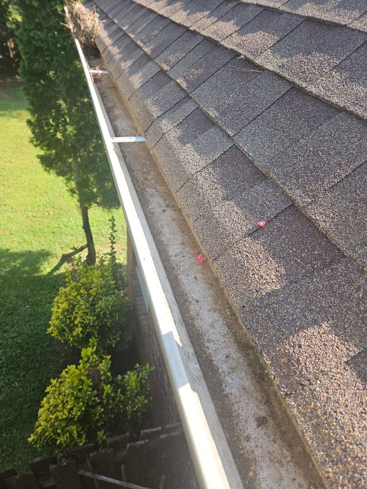 Protect Your Home with Expert Gutter Cleaning image