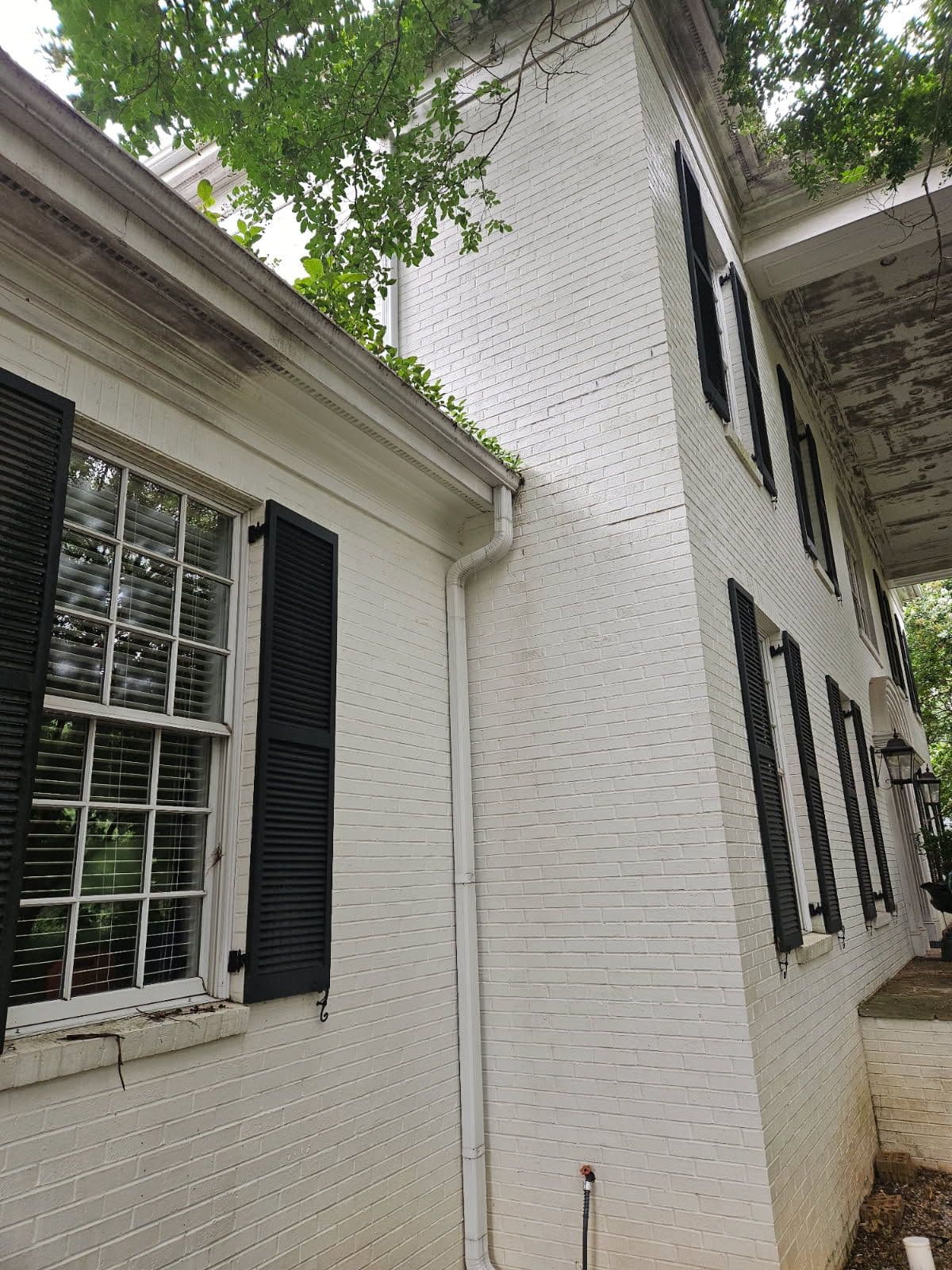 Project Transform Your Home with Professional House Washing image